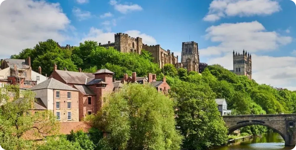  Peaceful riverbank near campus
