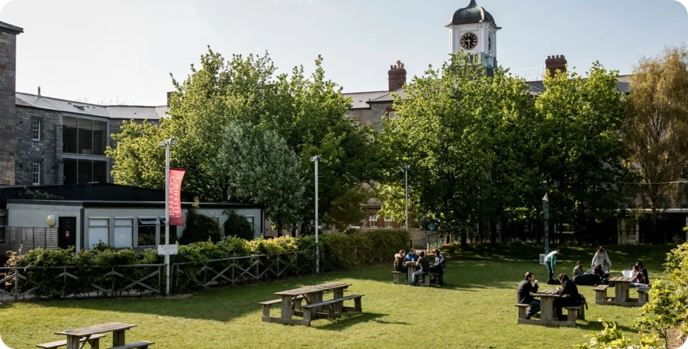 Group study at Griffith café