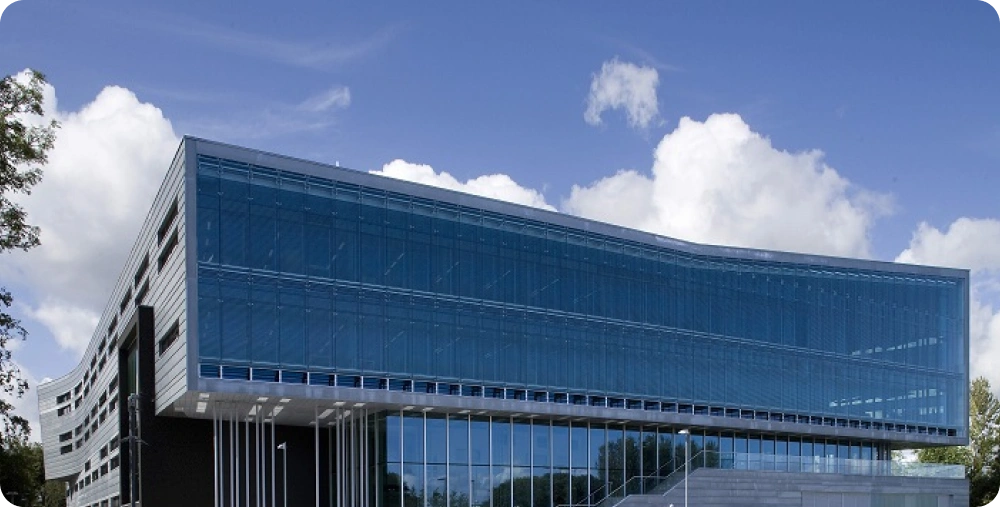 Student group in library